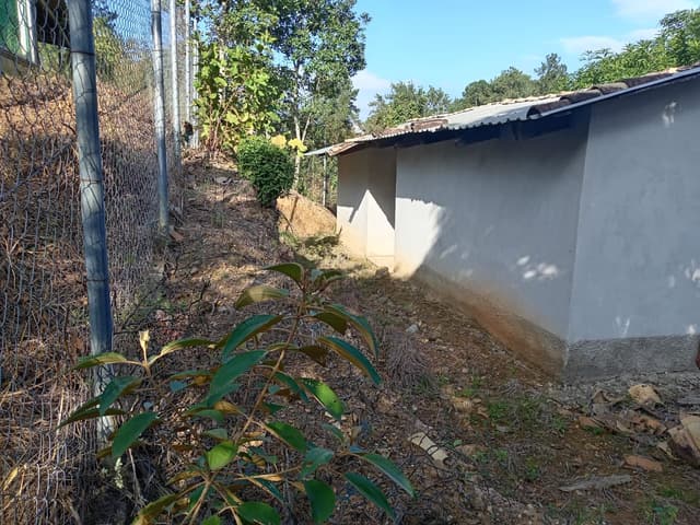 dc96f1dd-2d7a-4ae6-a262-a823bc5b2bad