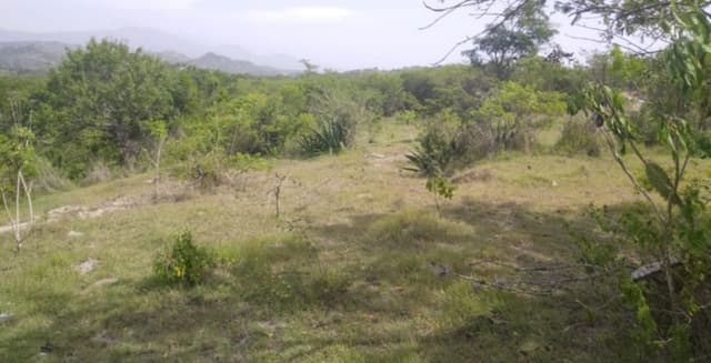 9d959ec6-d097-46d3-ab85-b34e8644655b