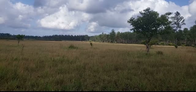 0b1e9171-cae7-4751-9765-c345cab23abf