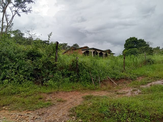 f6e9f76d-dd03-44e0-88f6-e1933ed38359