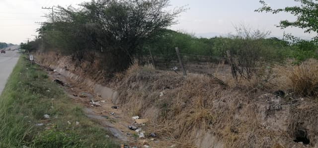 d618040f-f82c-4423-978b-0218a3282bd8