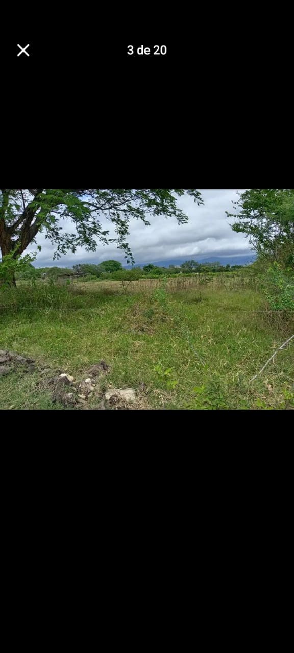 52c0091c-47a0-4383-acf4-c6a7446c358e