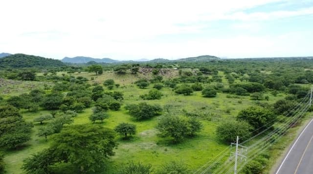 b5cee3d2-b32f-49f8-9299-ca2b1b898cac