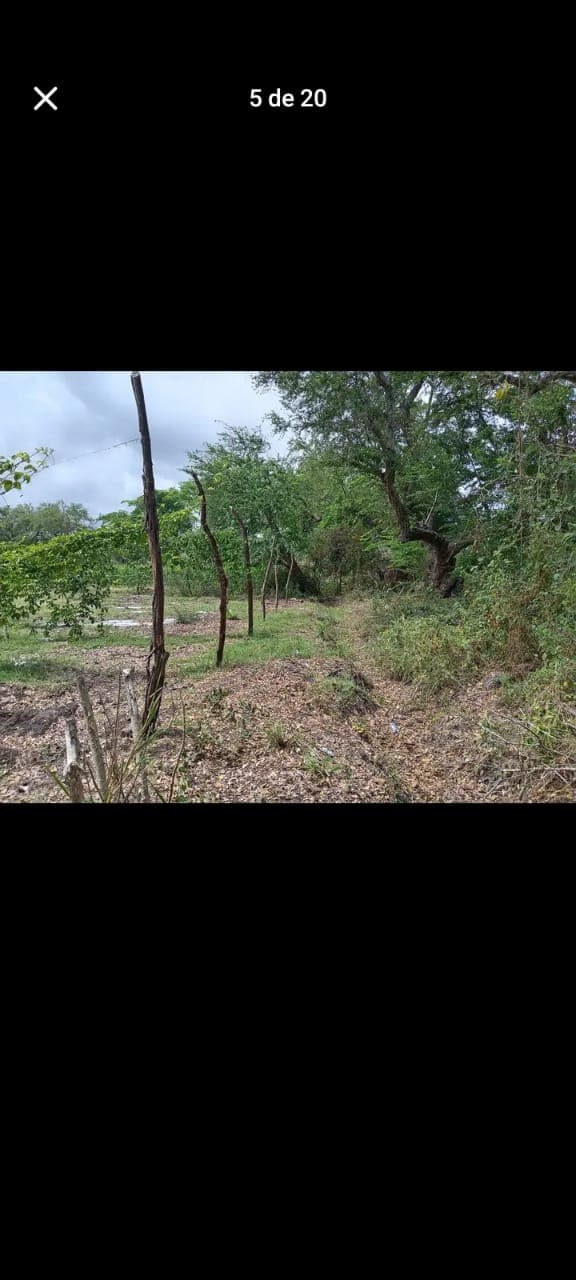 52c0091c-47a0-4383-acf4-c6a7446c358e