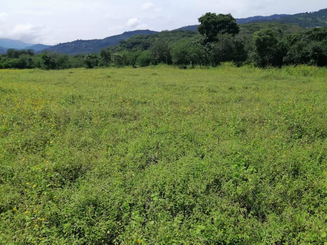 c1e03fd6-0a51-4727-863e-e30841c8d578