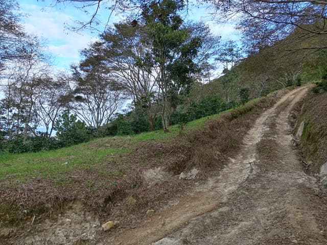 74113378-fc0e-4b8f-acfb-0369c97bae65