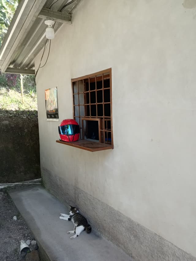 3cd56dd2-5abd-4499-b8e2-b82e120afa73