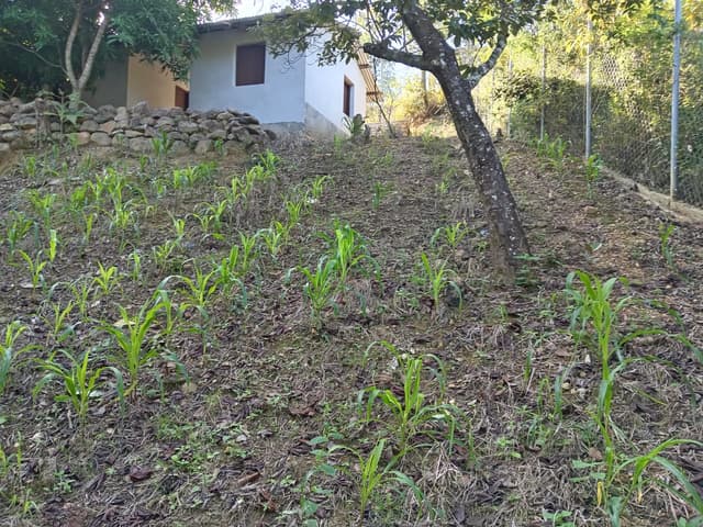 dc96f1dd-2d7a-4ae6-a262-a823bc5b2bad