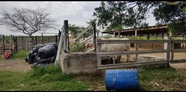 8aa1124f-22ff-4fc0-ae10-401f27d69021