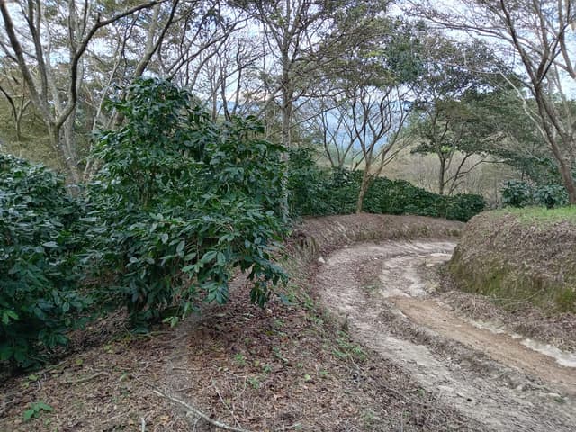 74113378-fc0e-4b8f-acfb-0369c97bae65