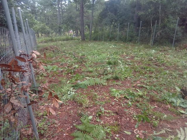 f04d17f3-1319-4385-8102-a3342bdd3216