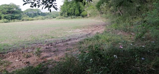 d618040f-f82c-4423-978b-0218a3282bd8