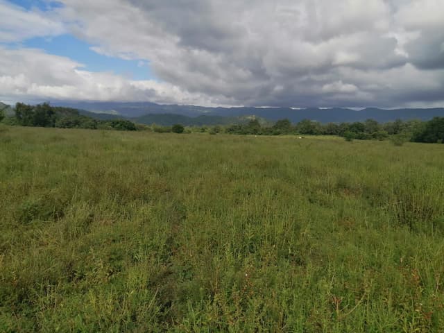 b75734cb-9398-41b0-a5fd-671e722a5b2d