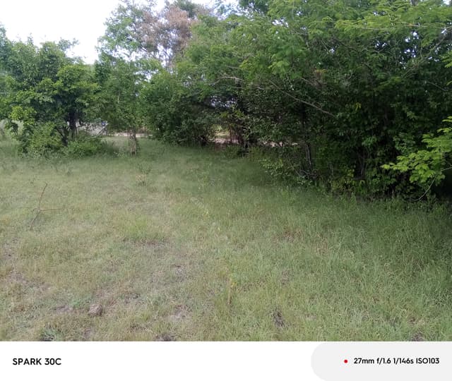 9cec9bf1-ce6d-434d-9f4c-3c2e4018ddea