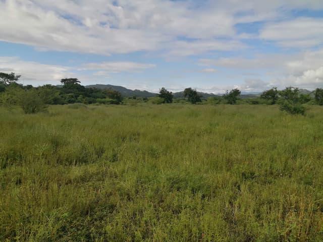 b75734cb-9398-41b0-a5fd-671e722a5b2d