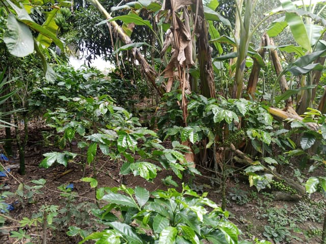 24bf7dde-c307-4029-90d6-17c4ffb11709