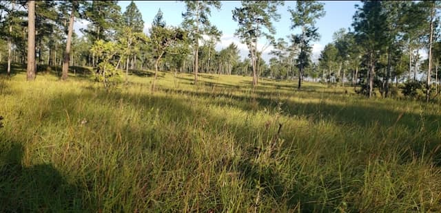 0b1e9171-cae7-4751-9765-c345cab23abf