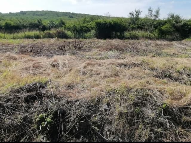 e84c438b-30bf-4e57-9fb2-1828fed3060b