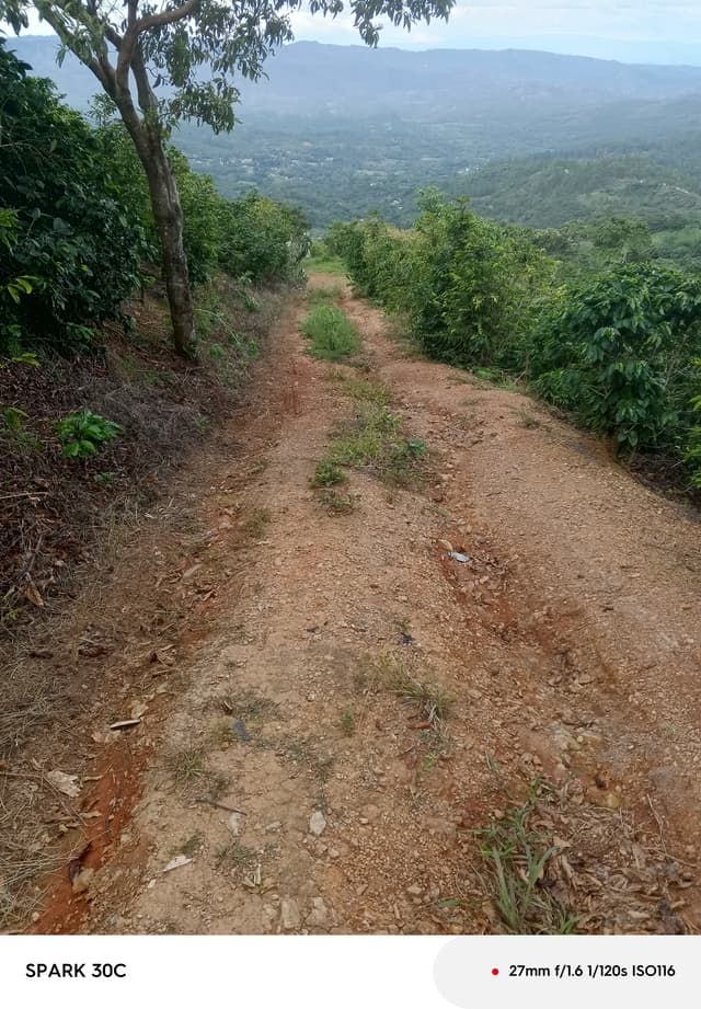 6ca05cf4-21ae-41b5-a167-21b771679032