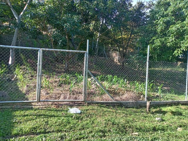 dc96f1dd-2d7a-4ae6-a262-a823bc5b2bad