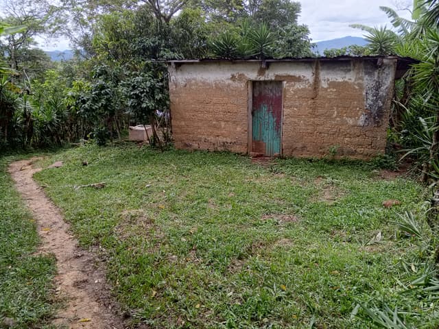 b9816b90-aacb-4330-84b5-32854f21568f