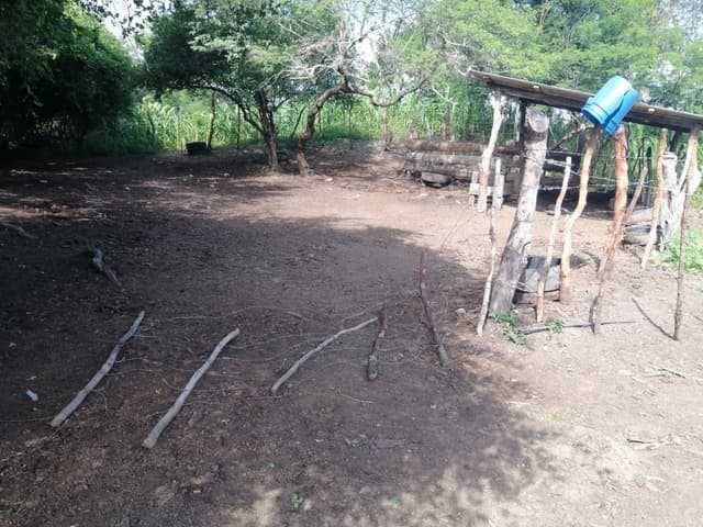 c1e03fd6-0a51-4727-863e-e30841c8d578