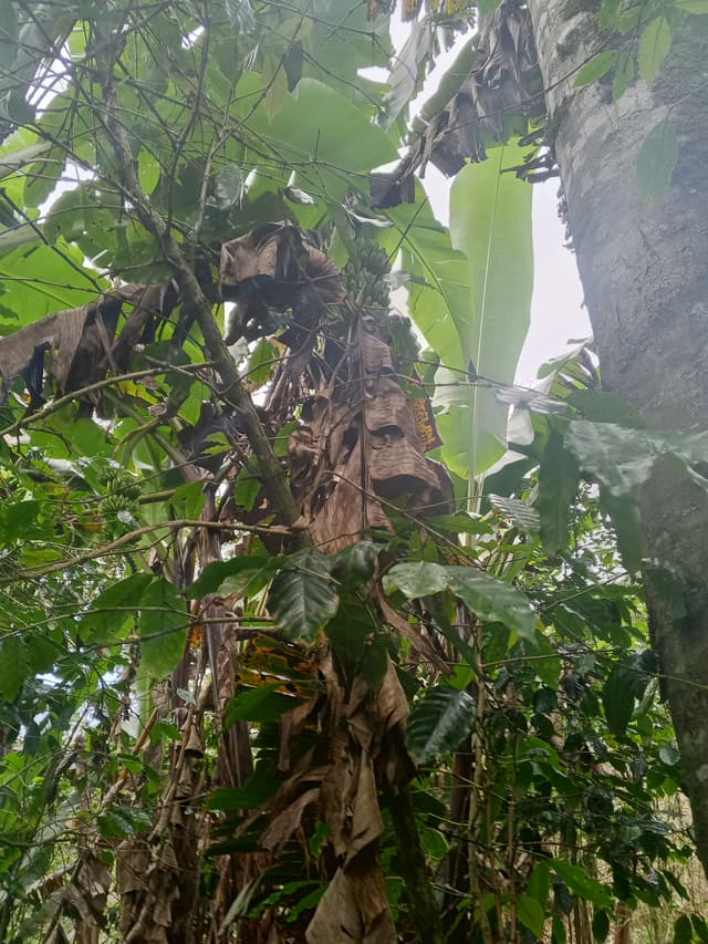 d1698813-3c5b-4381-9f9d-53d74816422d