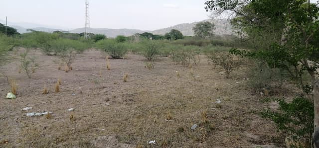 d618040f-f82c-4423-978b-0218a3282bd8