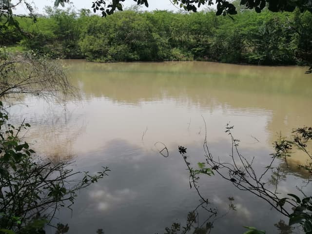 c1e03fd6-0a51-4727-863e-e30841c8d578