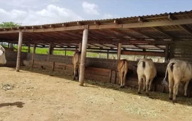 8aa1124f-22ff-4fc0-ae10-401f27d69021