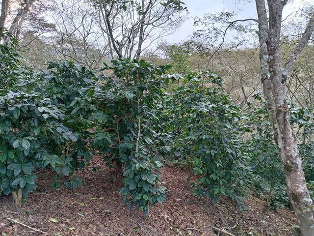 74113378-fc0e-4b8f-acfb-0369c97bae65