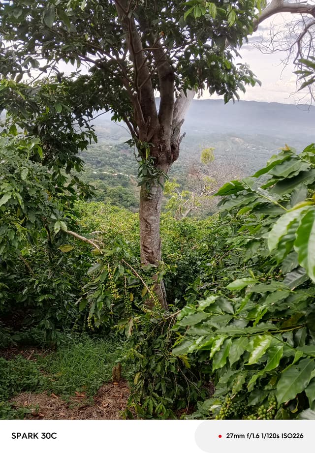 6ca05cf4-21ae-41b5-a167-21b771679032