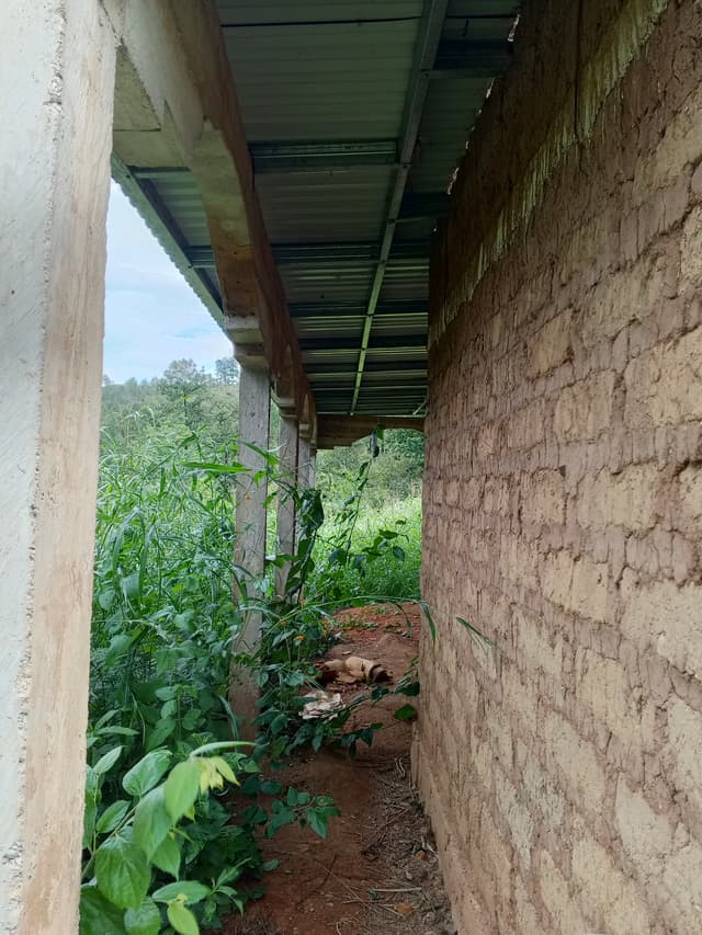 f6e9f76d-dd03-44e0-88f6-e1933ed38359