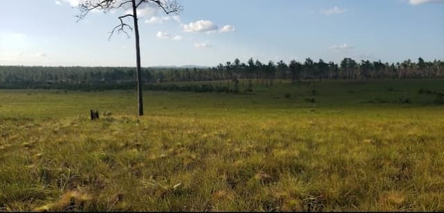 0b1e9171-cae7-4751-9765-c345cab23abf