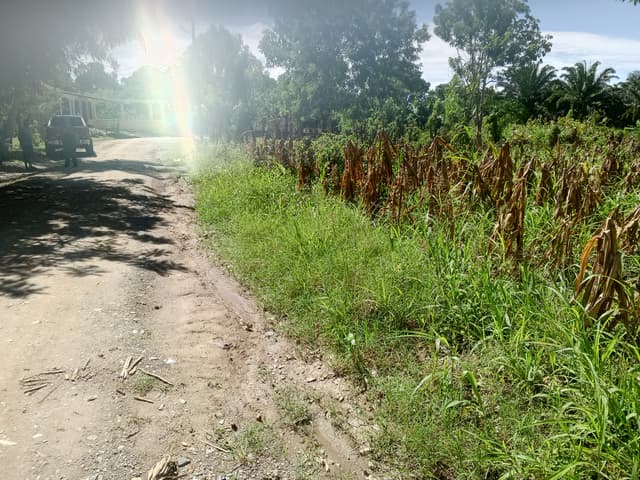 68fc69ce-1dff-4c21-ae42-f6ec6ed10fd3