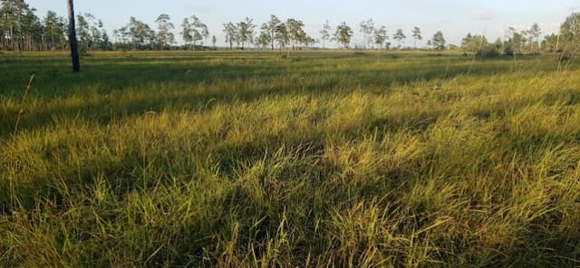 0b1e9171-cae7-4751-9765-c345cab23abf