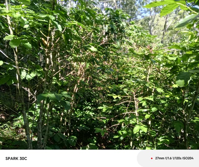 faca1fd7-b093-4602-92a1-867fcd222aee