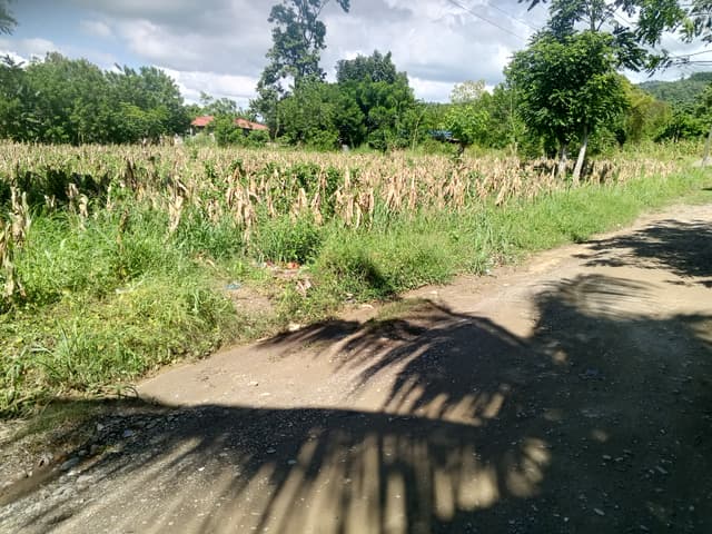 68fc69ce-1dff-4c21-ae42-f6ec6ed10fd3