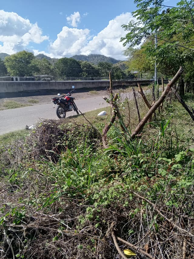 4179bc20-6065-4397-8dd3-af37eea305b4