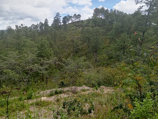 c39f9a37-c294-491c-b9b4-0fbb37a4d3c9