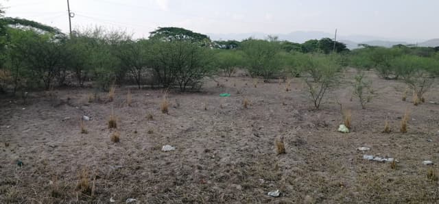 d618040f-f82c-4423-978b-0218a3282bd8