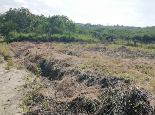 e84c438b-30bf-4e57-9fb2-1828fed3060b