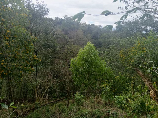 d1698813-3c5b-4381-9f9d-53d74816422d