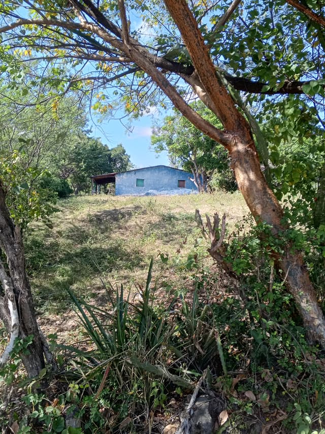 4179bc20-6065-4397-8dd3-af37eea305b4