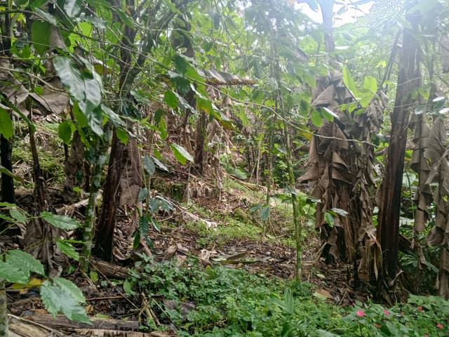 d1698813-3c5b-4381-9f9d-53d74816422d