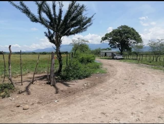 df8d558a-a2ed-42f0-8ad8-8e681b351158