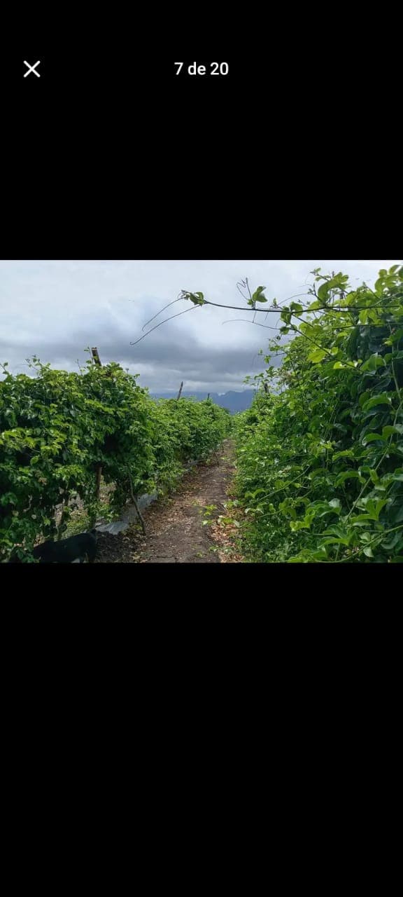 52c0091c-47a0-4383-acf4-c6a7446c358e