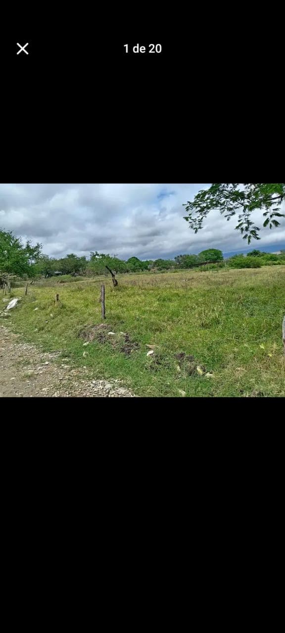 52c0091c-47a0-4383-acf4-c6a7446c358e