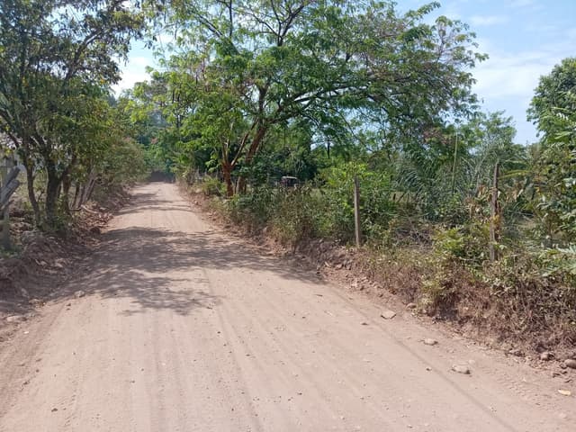 a88f2688-eaf4-4853-90bb-9edaa5b4cb0e