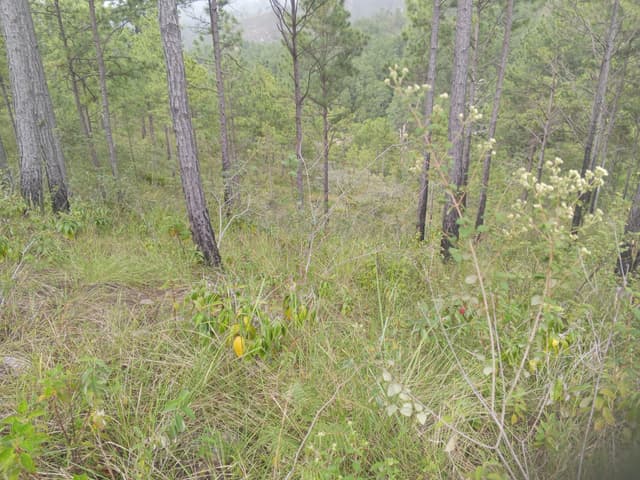 c39f9a37-c294-491c-b9b4-0fbb37a4d3c9